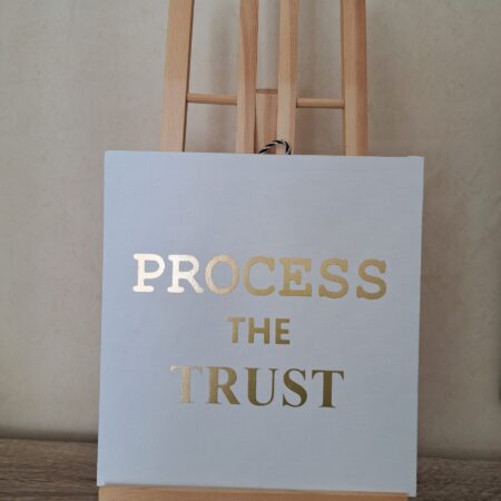 Process The Trust